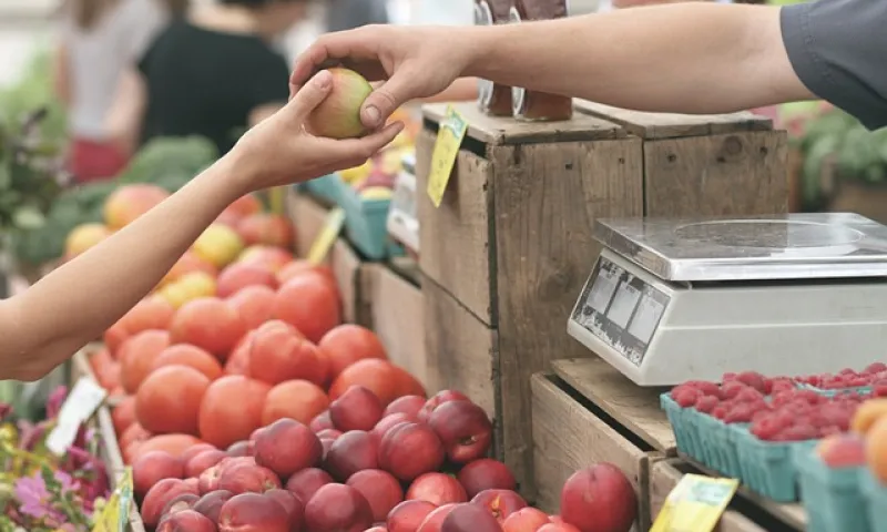 В Барнауле началась последняя в сезоне продуктовая ярмарка