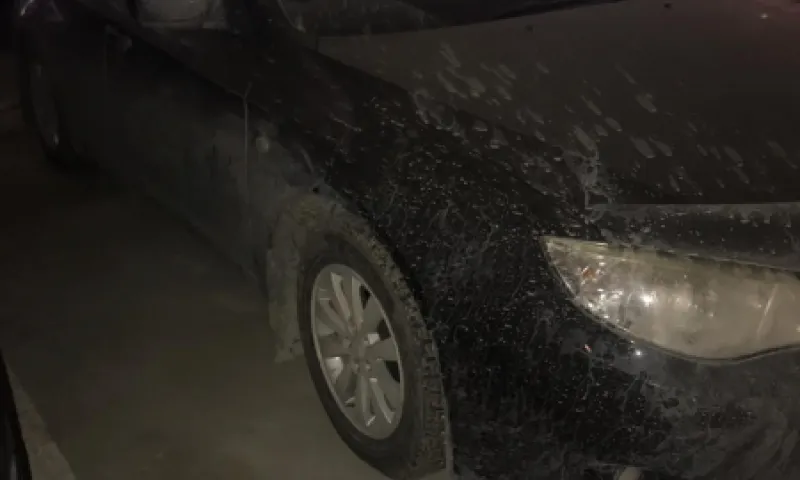 Полицейские вернули украденный барнаульцем 4 года назад автомобиль жительнице Новосибирска