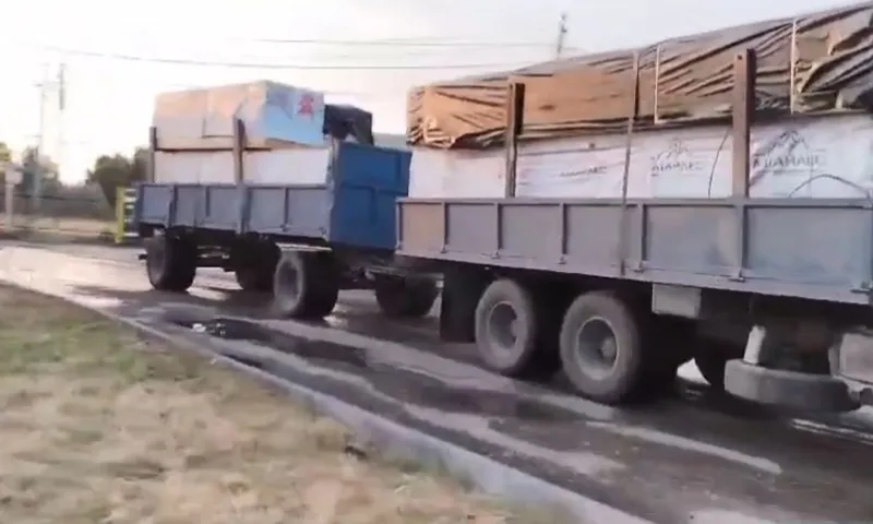 6 уголовных дел возбудили в Алтайском крае из-за контрабанды древесины за рубеж