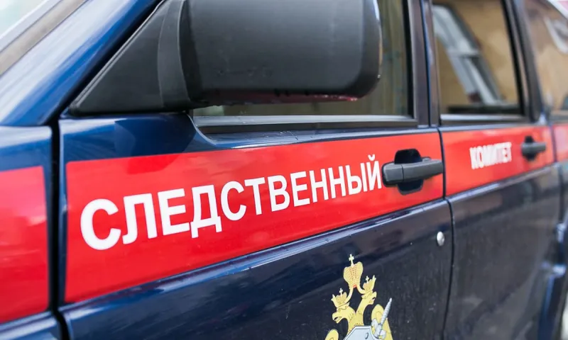 Алтайская предпринимательница предстанет перед судом за то, что наживалась на детях-сиротах