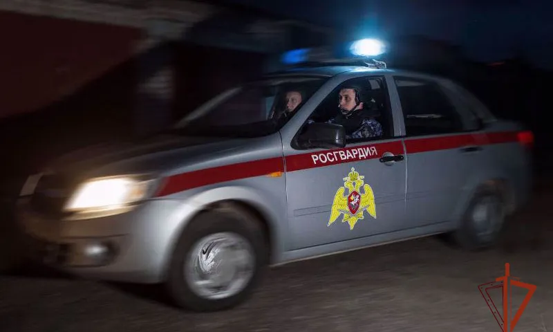 Пьяного лихача задержали сотрудники Росгвардии в Барнауле