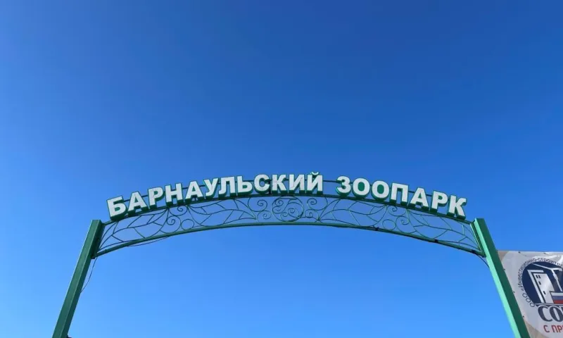 Барнаульский зоопарк проводит необычную акцию для близнецов