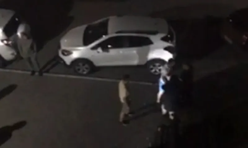 «Стреляй!»: барнаулец пинком прекратил ночной концерт во дворе