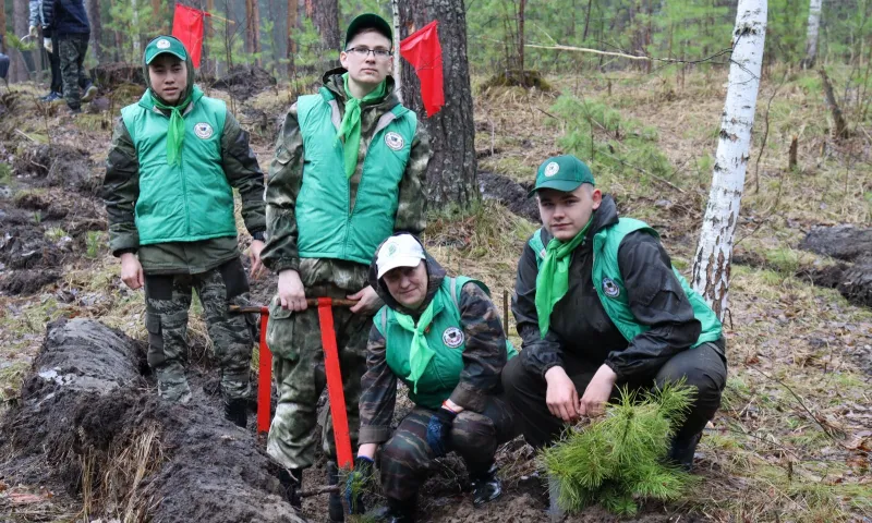 «Кедры России – кедры Алтая»: в Алтайском крае прошла экологическая акция 