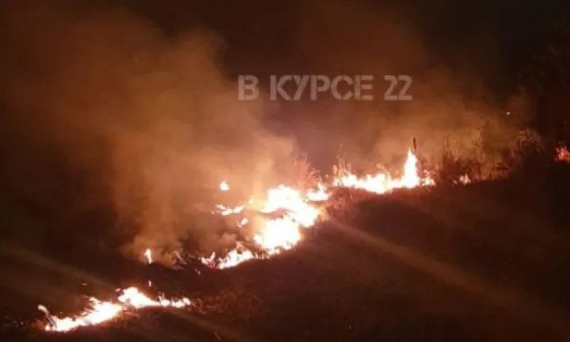 Огонь накрыл поля возле села в Алтайском крае