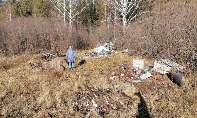 В Бобровском лесничестве ликвидировали несанкционированную свалку с крупным мусором