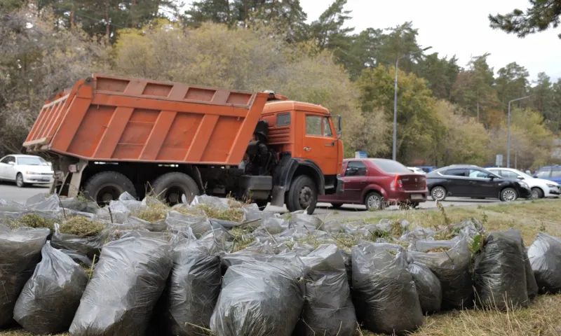 Противопожарные субботники продолжаются во всех районах Барнаула