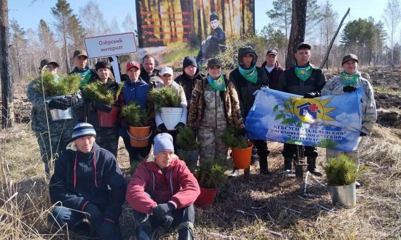 Более 1,5 тысячи жителей Алтайского края высадили 1,3 млн сосен в рамках акции «Сад памяти»