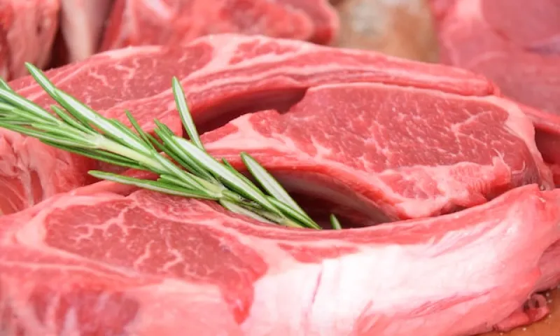 Учёные разработали аналог мясного продукта из личинок насекомых