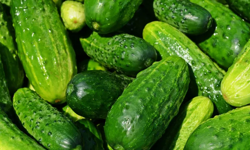 В Барнауле пройдет финальная в этом сезоне продуктовая ярмарка