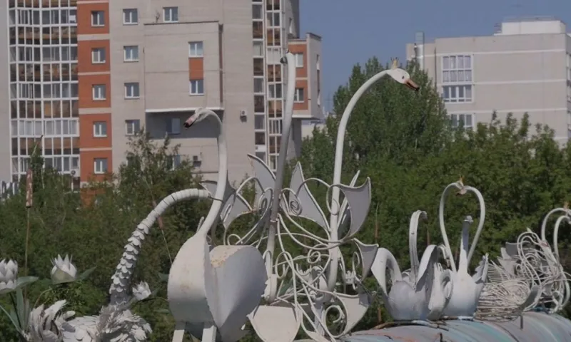 Лебедей с моста на Новом рынке переселят в парк