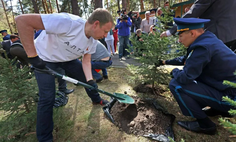 «Аллею сильных» заложили в Алтайском краевом госпитале ветеранов войн