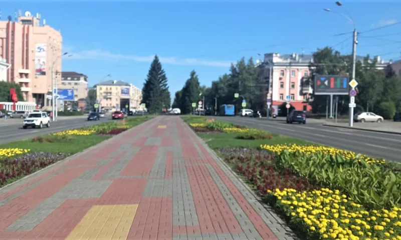 Более 450 тысяч цветов высадили на клумбах Барнаула