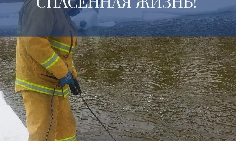 Провалившегося в ледяную реку теленка спасли в Республике Алтай