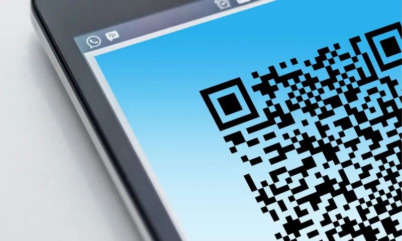 Власти намерены ввести QR-коды в Алтайском крае