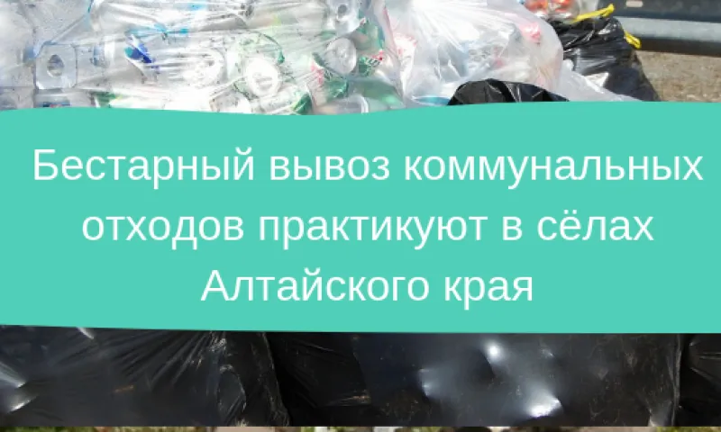 Бестарный вывоз коммунальных отходов практикуют в сёлах Алтайского края 