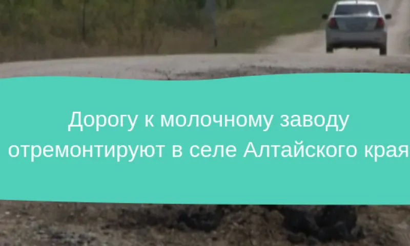 Дорогу к молочному заводу отремонтируют в селе Алтайского края