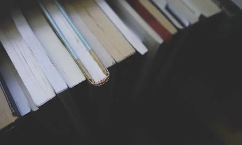 Самые популярные книги алтайской молодёжи назвали в «Шишковке»