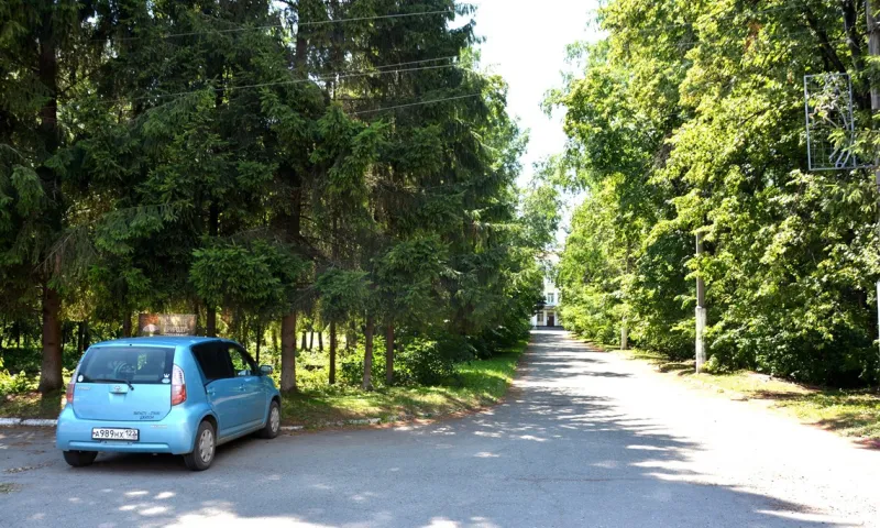 Зеленую зону продолжают благоустраивать в барнаульском Научном Городке