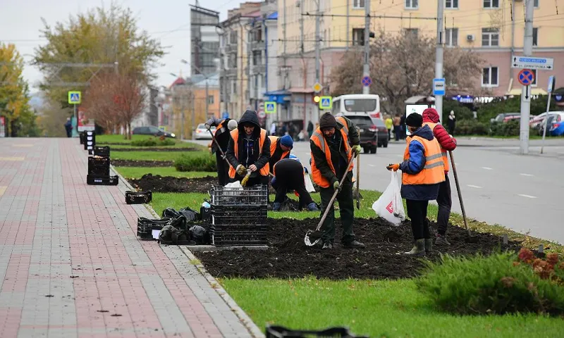 75 тысяч тюльпанов высадят на улицах Барнаула. Они расцветут весной 