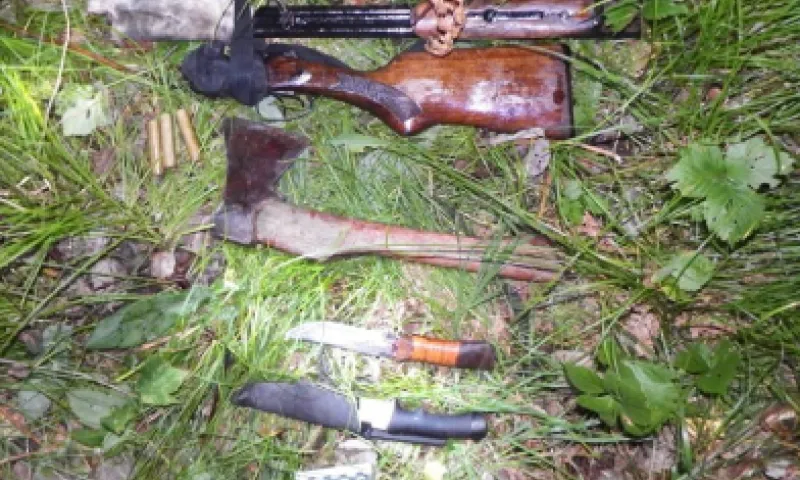 Браконьер убил полуторагодовалого лося в Алтайском крае