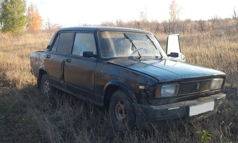 Сводные братья похитили один автомобиль и разобрали второй, чтобы починить свою машину в Славгороде 