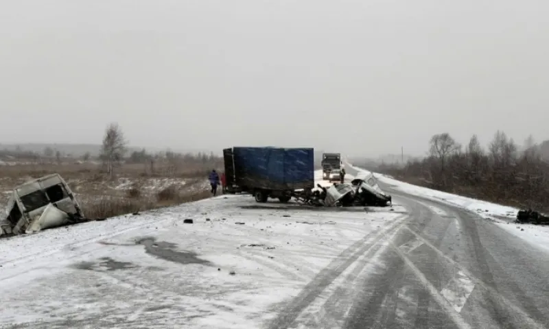 Смертельное ДТП с участием алтайских автомобилей произошло в Новосибирской области 