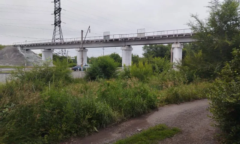 Мужчину сбил грузовой поезд в Новоалтайске