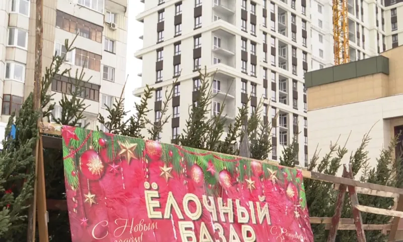 50 ёлочных базаров открылись в Барнауле