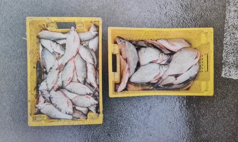 Полицейские поймали браконьера с большим уловом в Алтайском крае