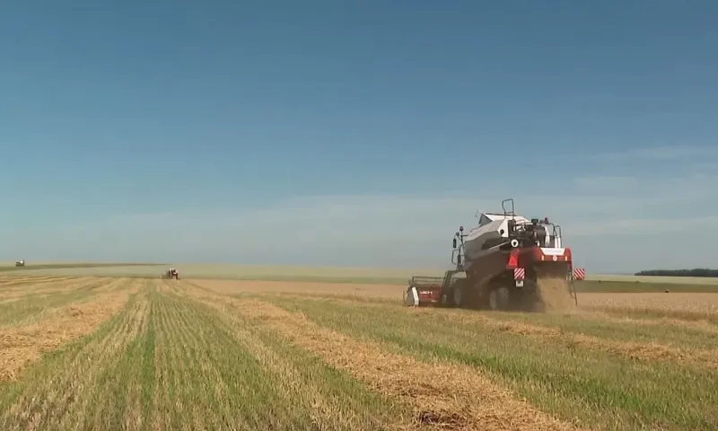 Промежуточные показатели уборки урожая обсудили в Барнауле