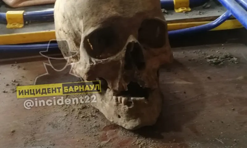 Человеческие останки нашли в погребе в Барнауле