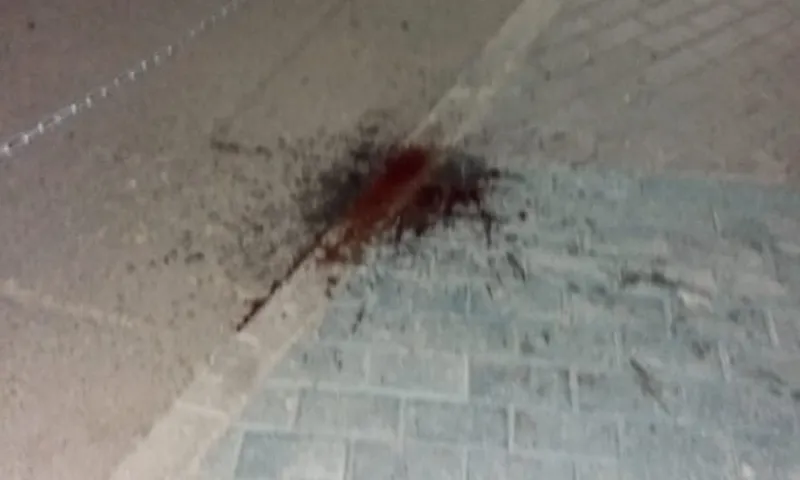 Барнаулец разбил нос, катаясь на велосипеде по набережной Оби
