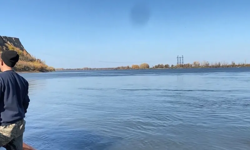 Несколько тысяч мальков сазана выпустили в Обь недалеко от Барнаула