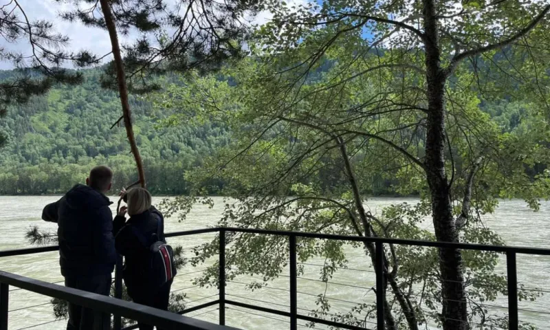 Фотозона в папоротнике и «Ловец звуков»: в парке Рериха на Бирюзовой Катуни завершили второй этап благоустройства