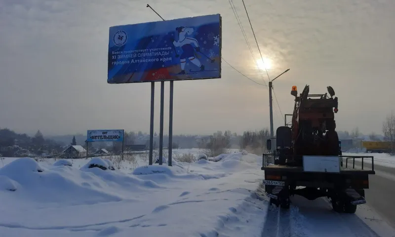 Снегирь и лошадь стали символами XI зимней олимпиады городов Алтайского края