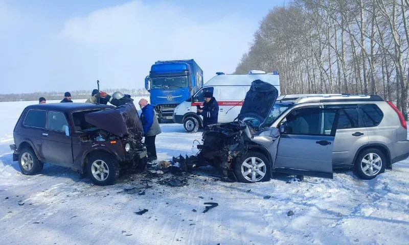 Лобовое столкновение в Кытмановском районе привело к гибели мужчины