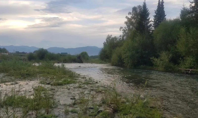 Двухлетний ребенок утонул в Республике Алтай