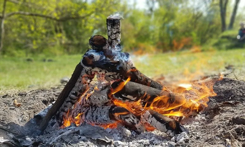 Ограничение на въезд и вход в лес продолжает действовать в Алтайском крае