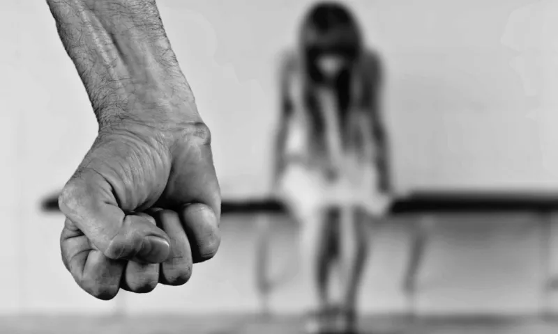 Жителя Волчихинского района признали виновным в изнасиловании женщины