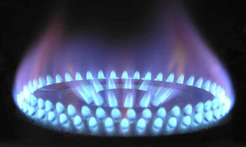 Германия не будет платить за российский газ в рублях
