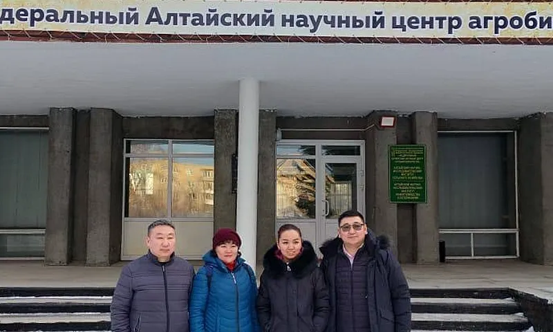 Элитное зерно планируют закупать для Монголии в Алтайском крае