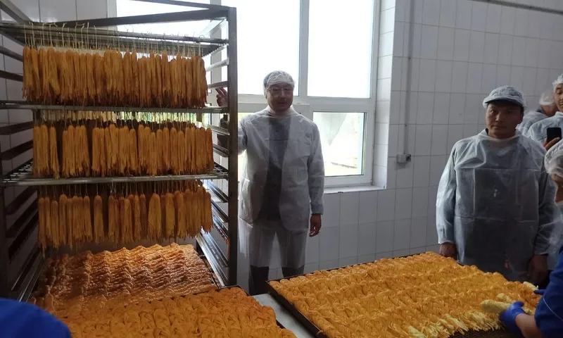 Алтайский край и Убсунурский аймак Монголии будут сотрудничать в сфере сельского хозяйства и перерабатывающей промышленности