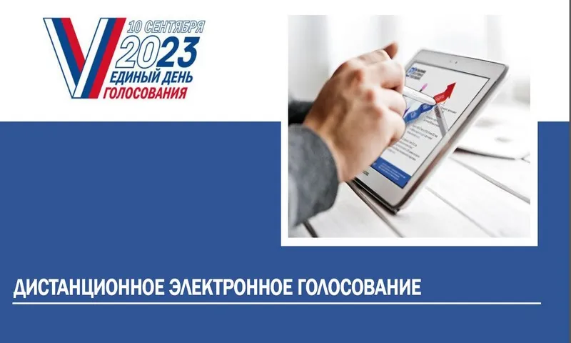 Прием заявлений для участия в дистанционном электронном голосовании начался в Алтайском крае