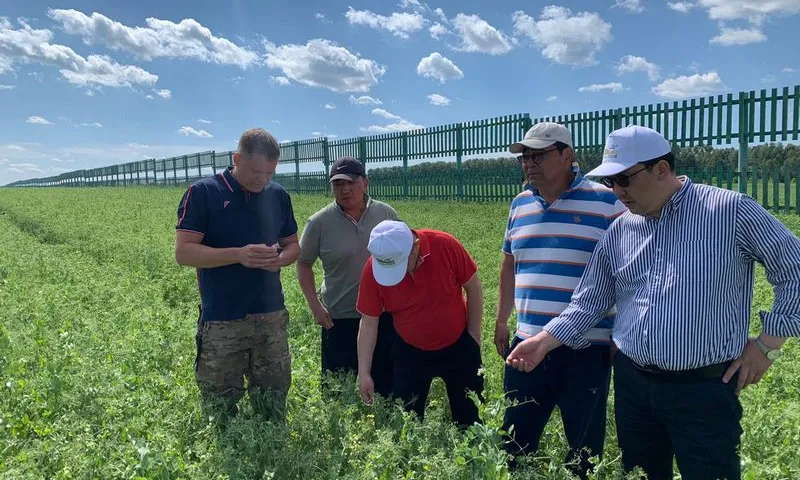 Сотрудничество Алтайского края с Монголией выходит на новый уровень 