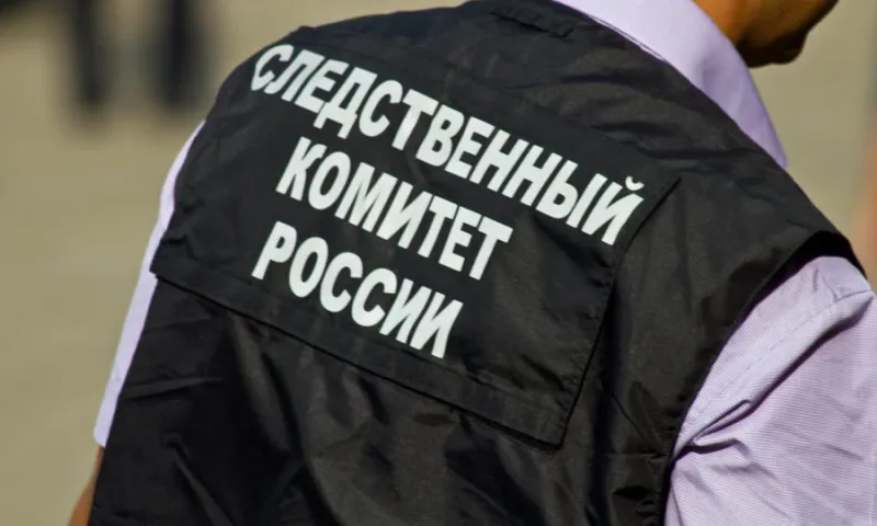 Барнаульца осудят за убийство пенсионерки
