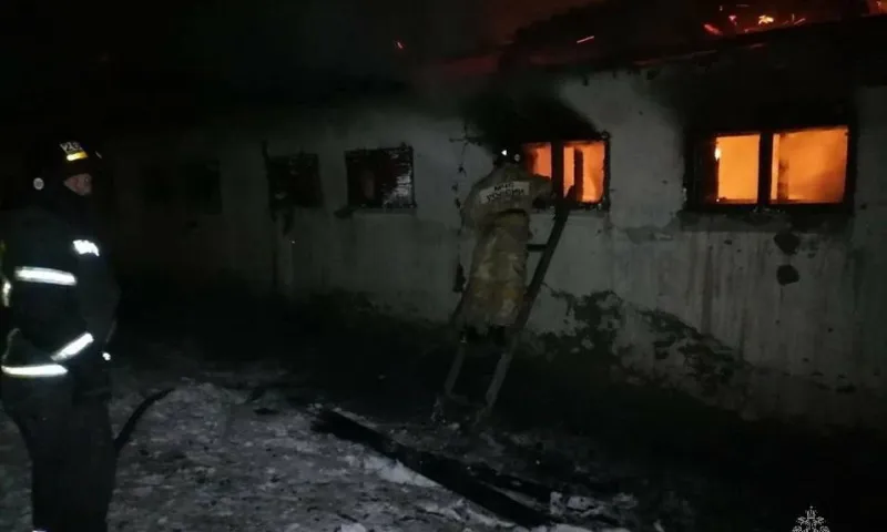 6 лошадей и 17 коров спасли на пожаре в Косихинском районе