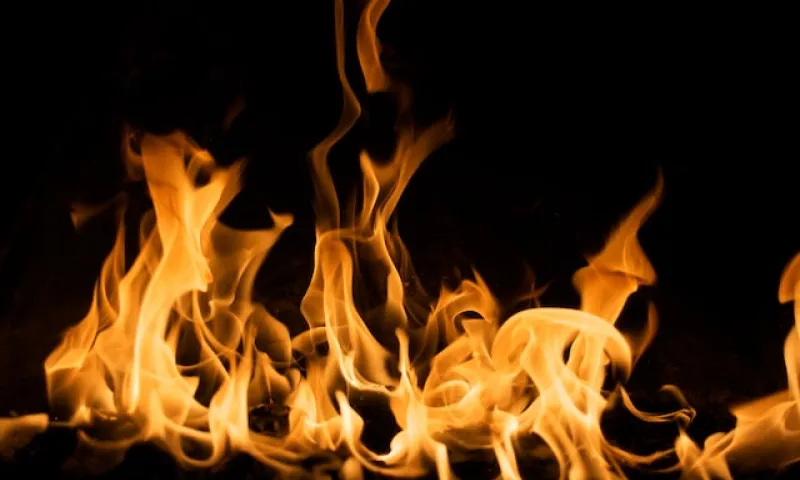 В Барнауле загорелся частный жилой дом