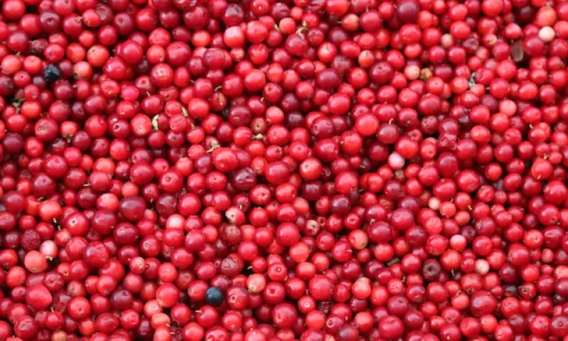 Россиянам рассказали о продуктах, продлевающих молодость