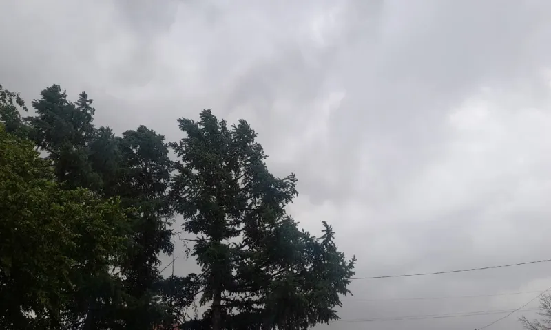 Шквалистый ветер и дождь ворвались в Барнаул